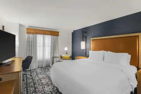 Hampton Inn & Suites Austin Downtown - 57