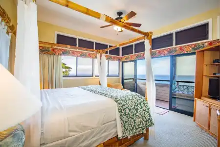 Kapalua Villas Maui - 289