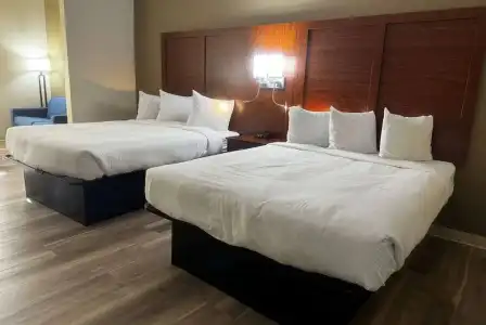 Wingate by Wyndham College Station South - 84