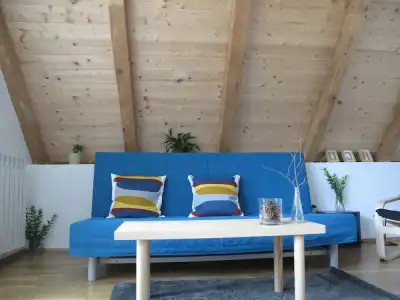 Guesthouse Bor - 39