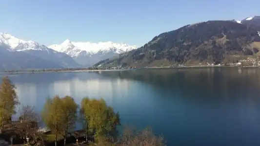 SeeBellevue by Keyone - 15
