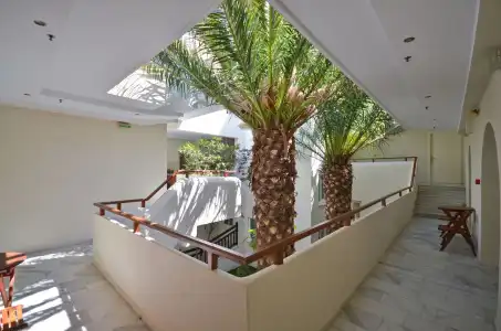 Anatoli - 1