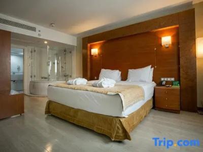 Holiday Inn Istanbul City - 91