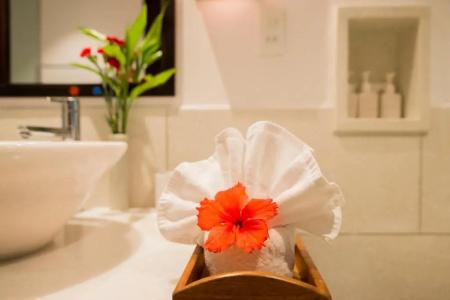 Hoi An Ancient House Resort And Spa - 131