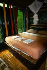 Khao Sok Tree House - 59