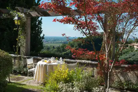 Villa Cipriani - 17