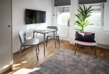 First The Studio - 80