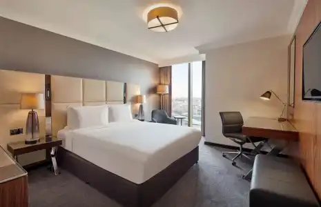 Hyatt Regency London Albert Embankment - 71