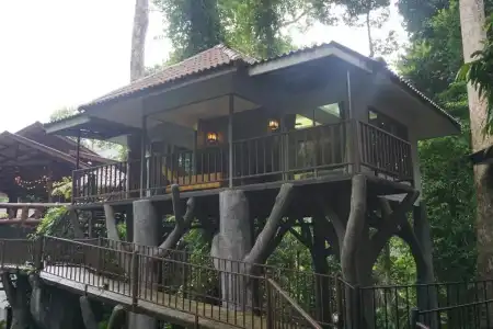 Rock And Treehouse Resort - 33