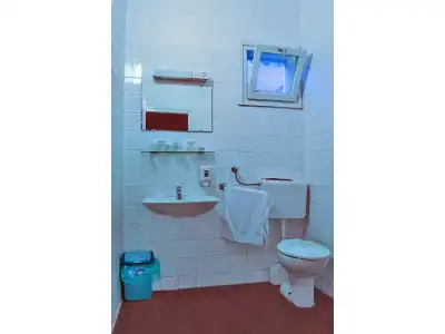 Art - 6