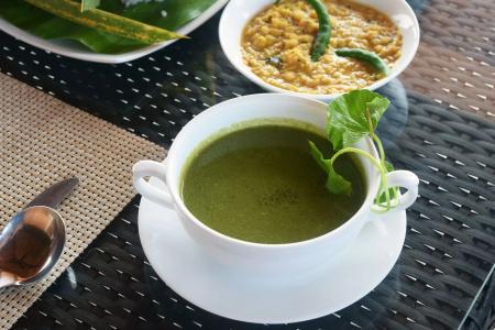 Terrace Green & Spa - 12
