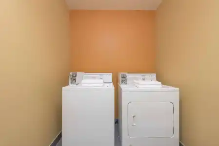 Quality Inn & Suites Fort Worth North - Haltom City - 3