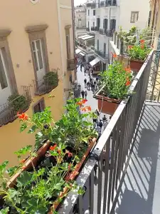 Antica Repubblica - 125