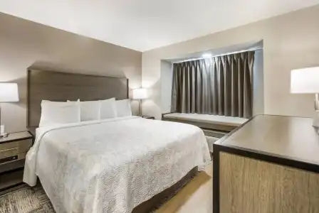 Red Roof Inn PLUS+ & Suites Savannah - I-95 - 4