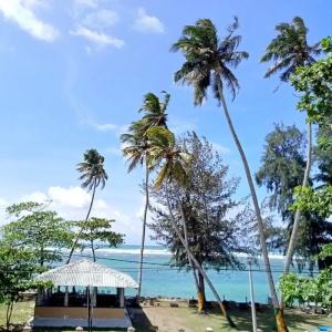 Reef Garden Polhena - 13