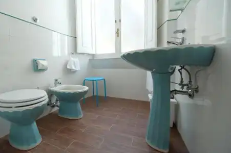 Cassiodoro 19 - 61