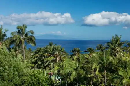 Wailea, Relais & Chateaux - Adults Only - 85