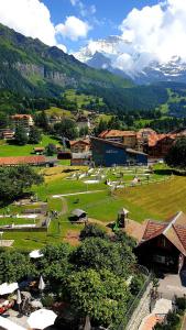 Schönegg Wengen - 14