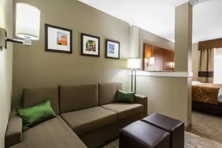 Comfort Suites University - 53