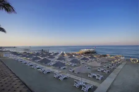 Grand Bahama Beach Ex. Happy Beach - 16