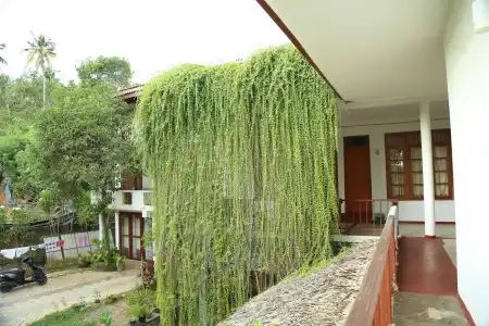 Mount Garden Guest House - 10