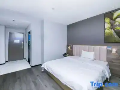 7 Days Premium - 24