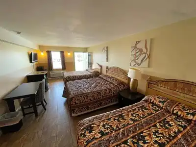 Sea Palace Inn - 47
