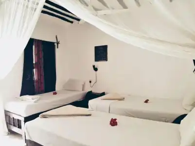 Coco Beach - 4