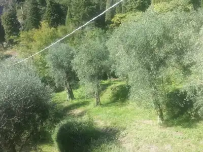 Locanda Ruscello Garnì - 48