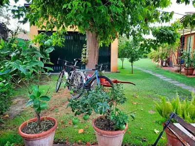 B&B la Corte di Stelio - 15