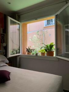 Villa Rose - 80