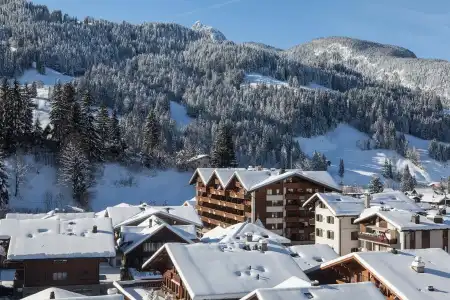 Bernerhof Swiss Quality Gstaad - 25