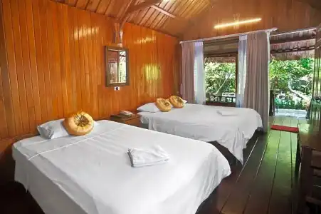 Monkey Island Resort - 73