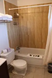 Falcon Inn - 111