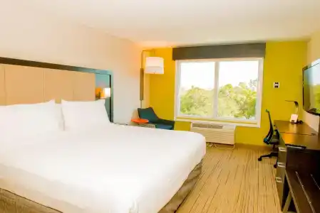 Holiday Inn Express St. Petersburg North (I-275) by IHG - 11