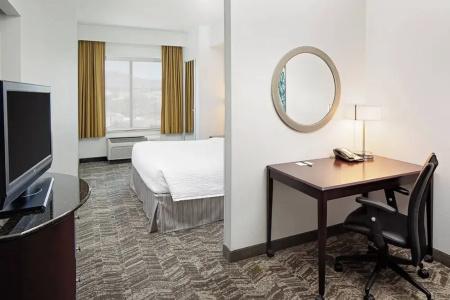 SpringHill Suites by Marriott El Paso - 56