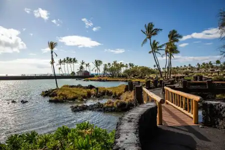 Waikoloa Beach Marriott Resort & Spa - 23
