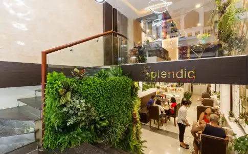 Splendid Holiday - 11