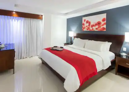 Centro Plaza Hodelpa - 10