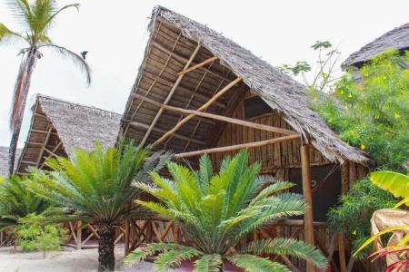 New Jambo Bungalows - 24