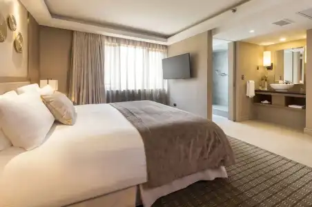InterContinentals SANTIAGO by IHG - 63