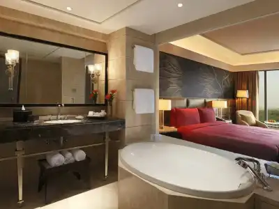 The Leela Ambience Convention Delhi - 9