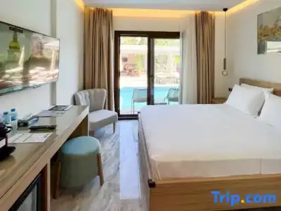 Dna Dalyan Adult Only - 24