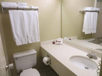 Ramada by Wyndham Denver Downtown - 7