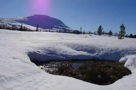 Kvitåvatn Fjellstue - 16