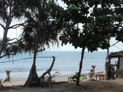 Lazy Days Bungalows - 8