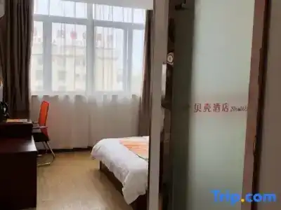Shell Shanghai Jinshan Zhangyan Town Songjin Highw - 68