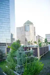The Ritz-Carlton, Charlotte - 15