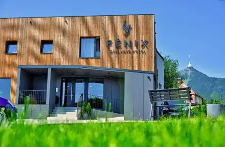 Fénix Inspiration Design - 0