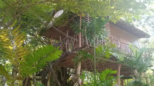 Sigiriya Rock Gate Resort - 83
